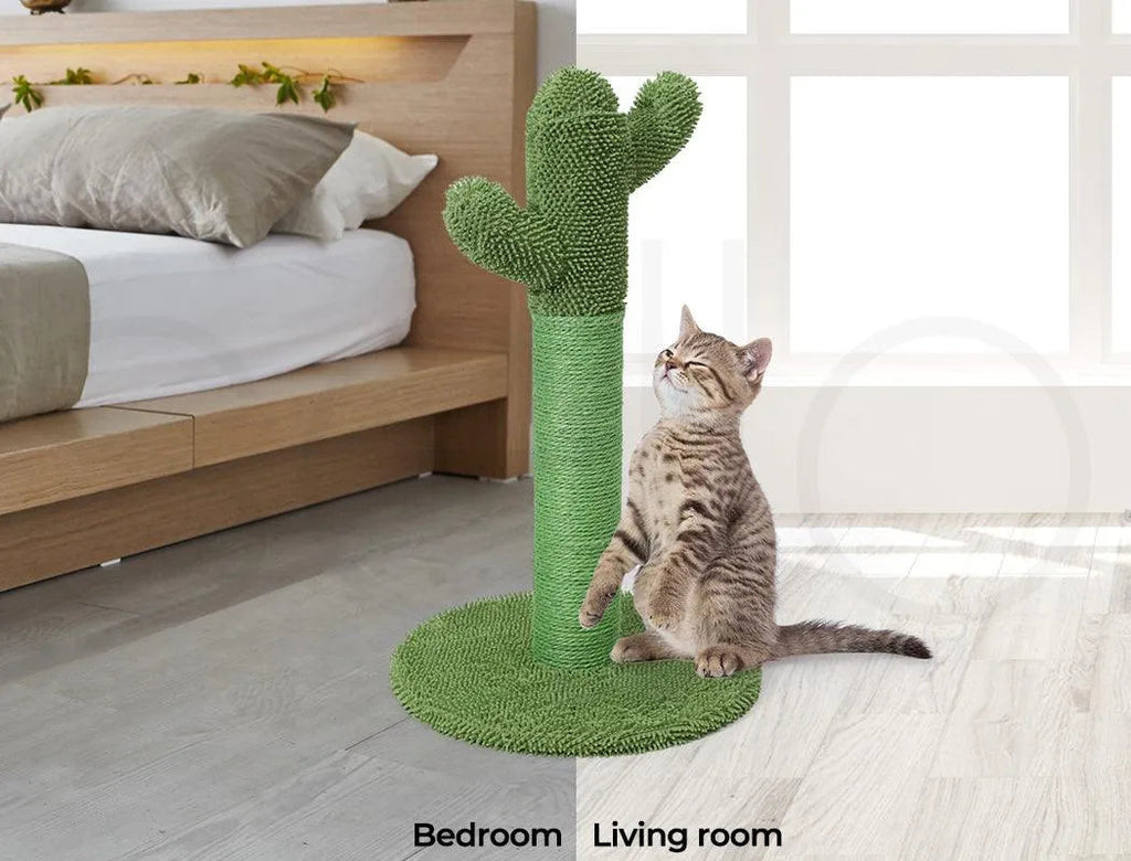 Cat Scratcher Post Cactus