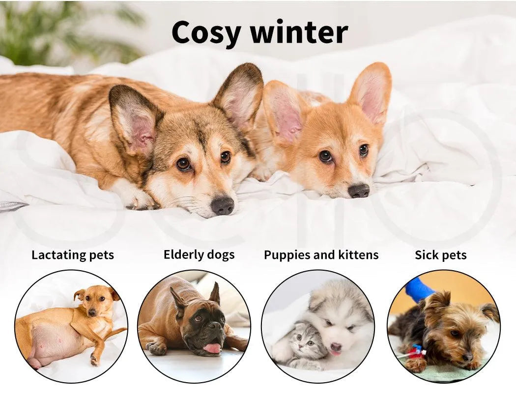 Electric Pet Heater Bed Thermal Protection