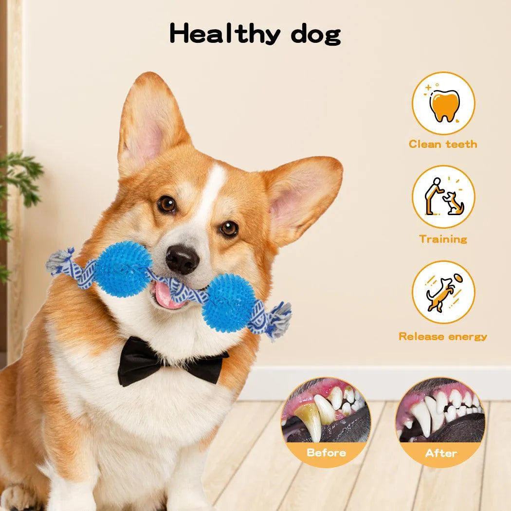 Dog Chew Toys 6pcs Value Pack