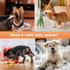 Pet Playpen Transparent Acrylic Clear Folding Dog Fence Kennel