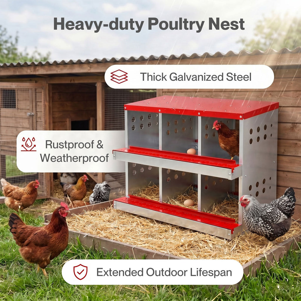 Chicken Nesting Box 6 Hole 2-Tier Roll Away Egg Collection Galvanized Coop