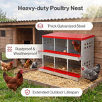 Chicken Nesting Box 6 Hole 2-Tier Roll Away Egg Collection Galvanized Coop