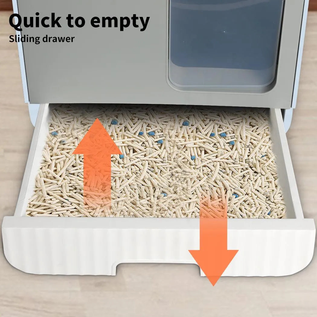 House Cat Litter Box