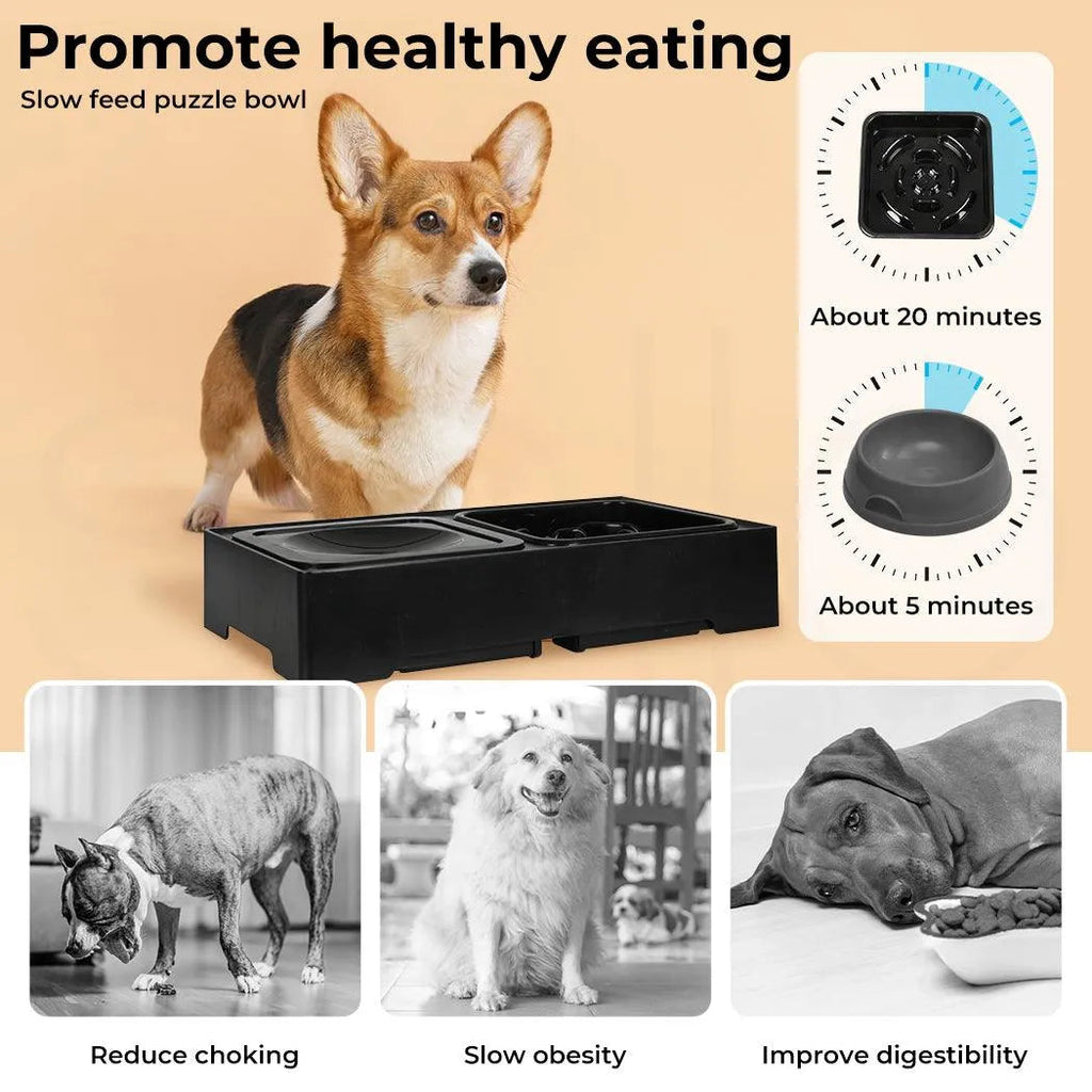 Raised Pet Feeder with No-Spill Slow Feeder Bowl