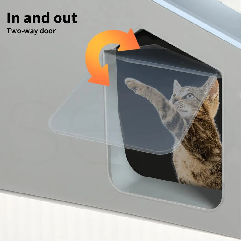 House Cat Litter Box