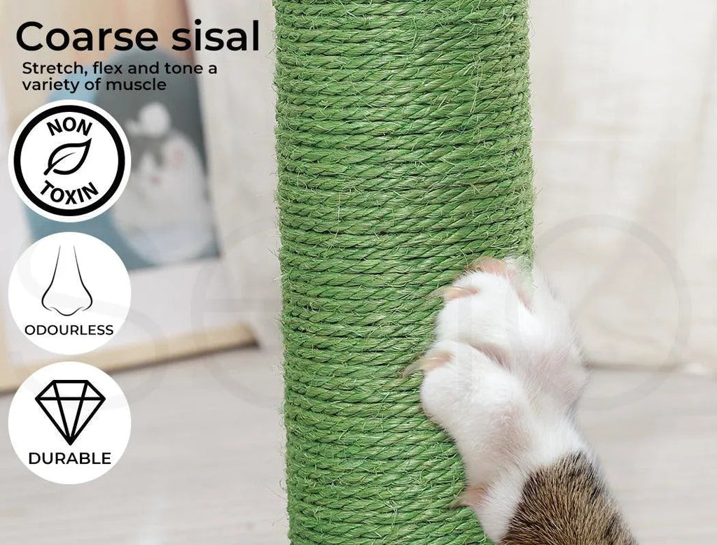 Cat Scratcher Post Cactus