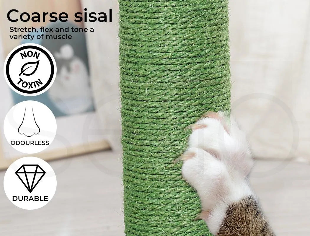 Cat Scratcher Post Cactus