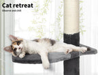 Cat Scratching Post Tree Play