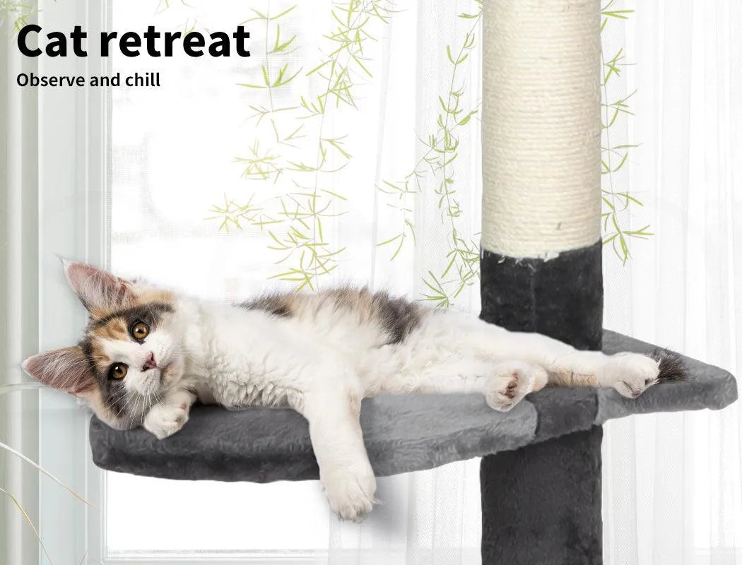 Cat Scratching Post Tree Play