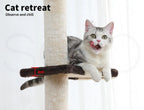 Cat Scratching Post Tree Play