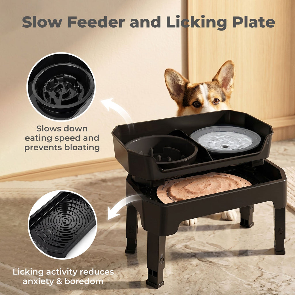 Raised Dog Bowls Adjustable Elevated Feeder Slow Feeder Lick Mat Foldable
