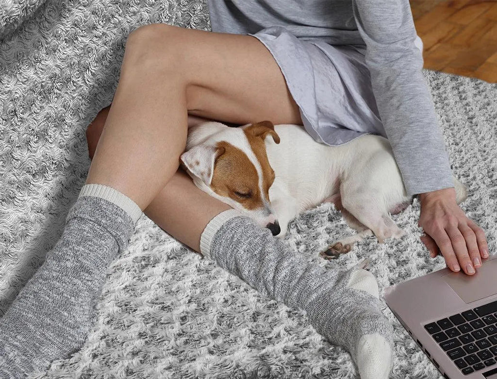 Pet Calming Blanket for Dogs