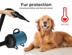 Dog Cat Pet Hair Dryer Grooming Blow Speed