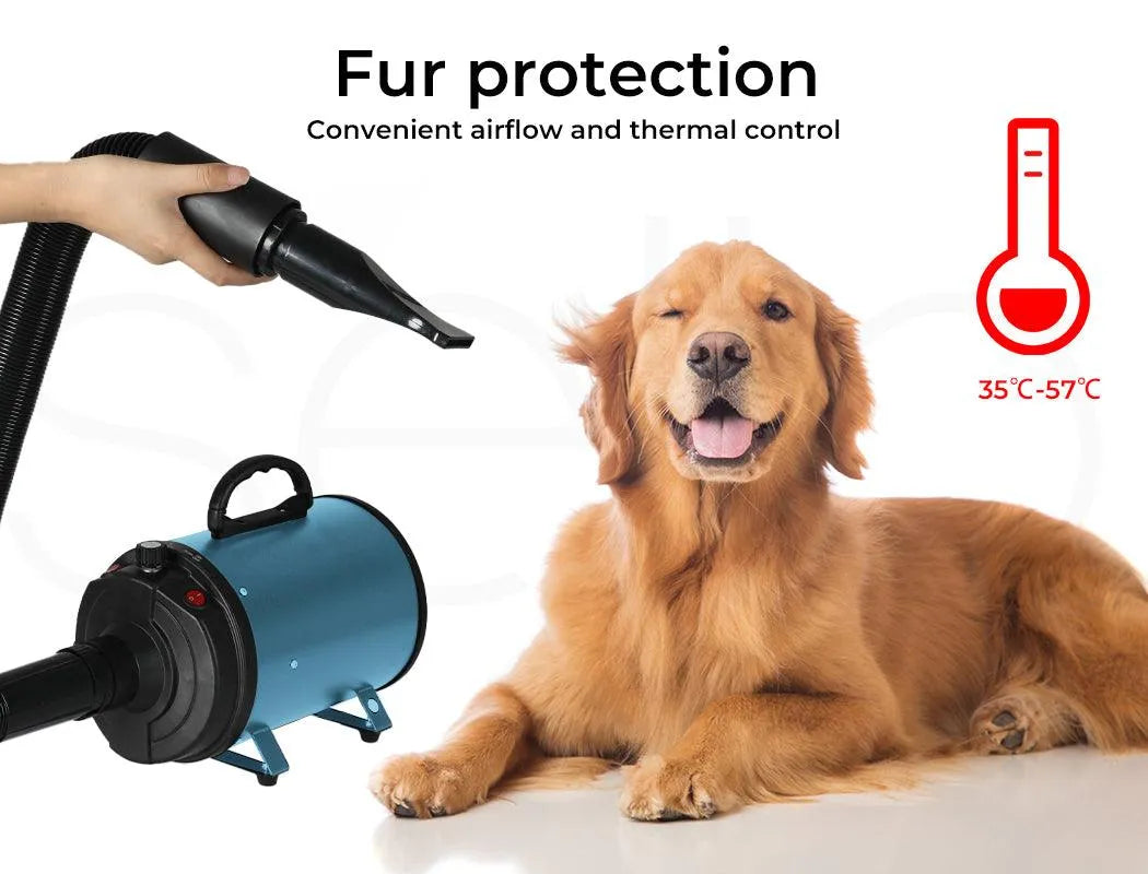 Dog Cat Pet Hair Dryer Grooming Blow Speed