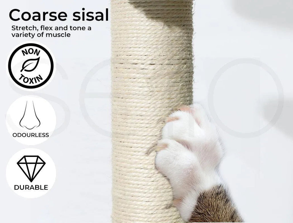 Cat Scratcher Post Cactus Multi Level Playground