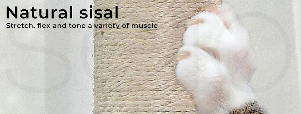 Cat Tree Scratching Post Multi Level