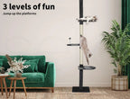 Cat Scratching Post Tree Play