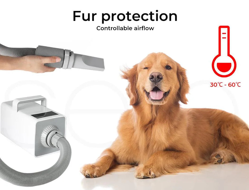 Pet Dryers