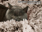 Cover For PaWz Calming Pet Bed