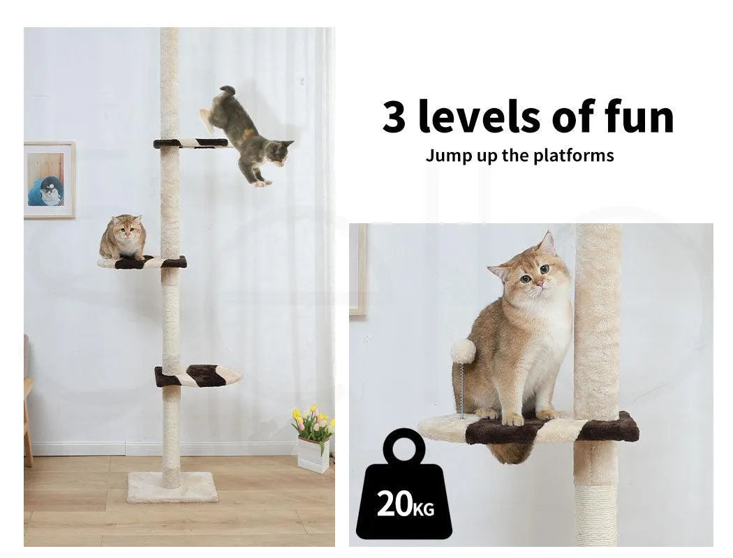Cat Scratching Post Tree Play