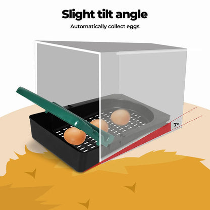 Chicken Hen Coop Hutch 3 Hole Inside Outside Roll Away Lay Egg Nesting Box