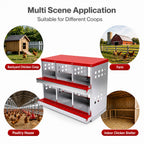 Chicken Nesting Box 6 Hole 2-Tier Roll Away Egg Collection Galvanized Coop