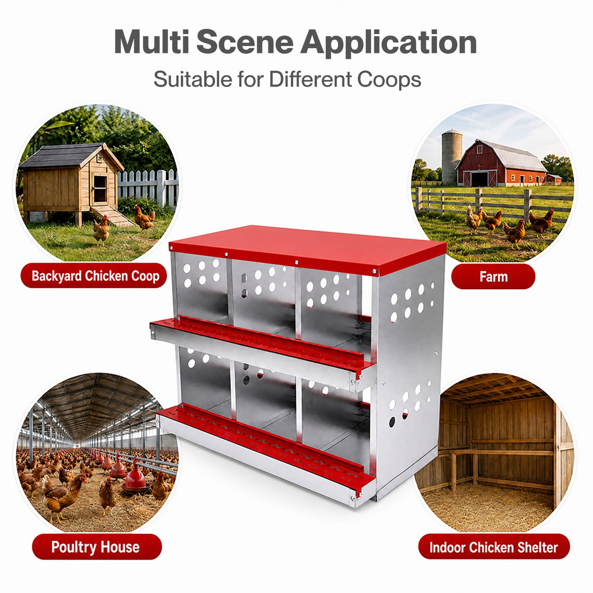 Chicken Nesting Box 6 Hole 2-Tier Roll Away Egg Collection Galvanized Coop