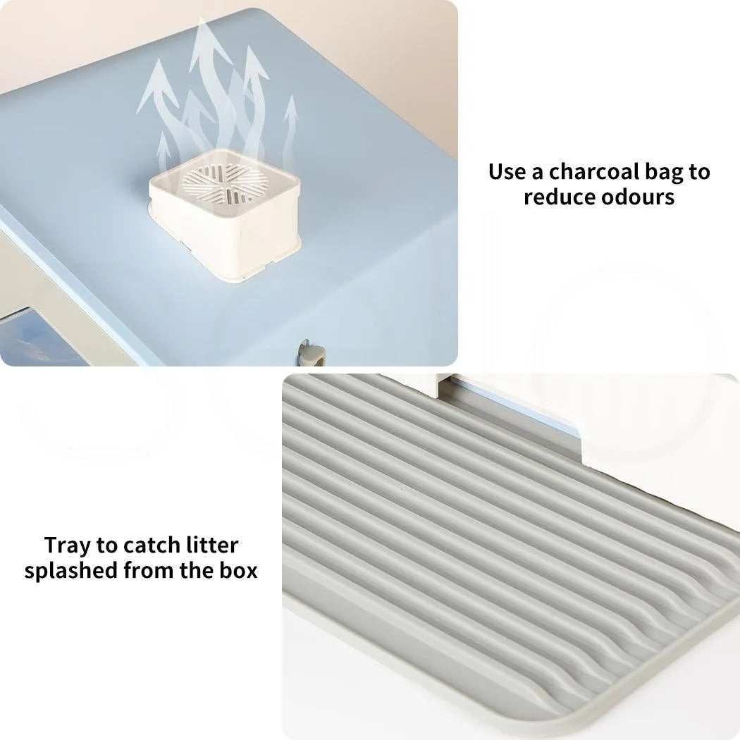 House Cat Litter Box