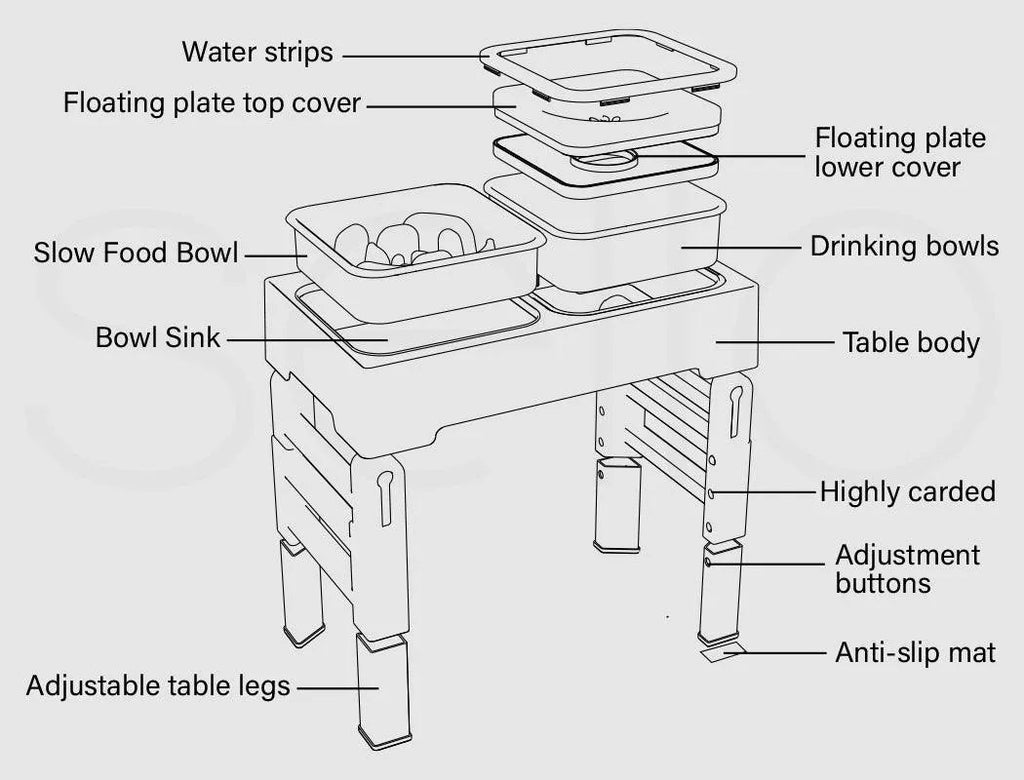 Raised Pet Feeder with No-Spill Slow Feeder Bowl