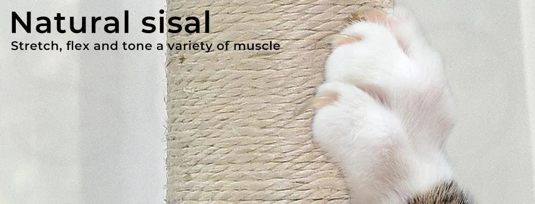 Cat Scratcher Multi Level 184cm Height