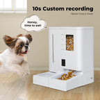 Automatic Pet Feeder 2-in-1