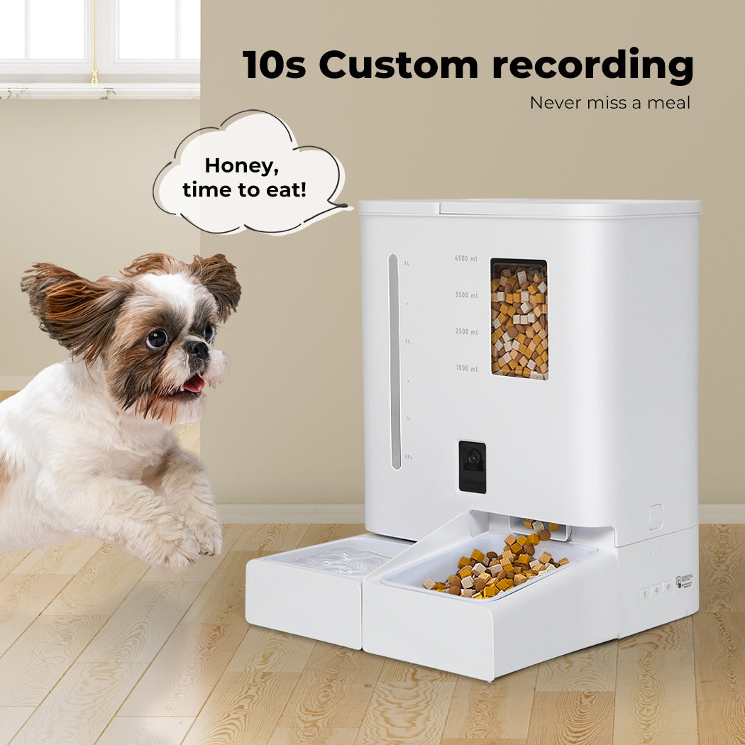 Automatic Pet Feeder 2-in-1