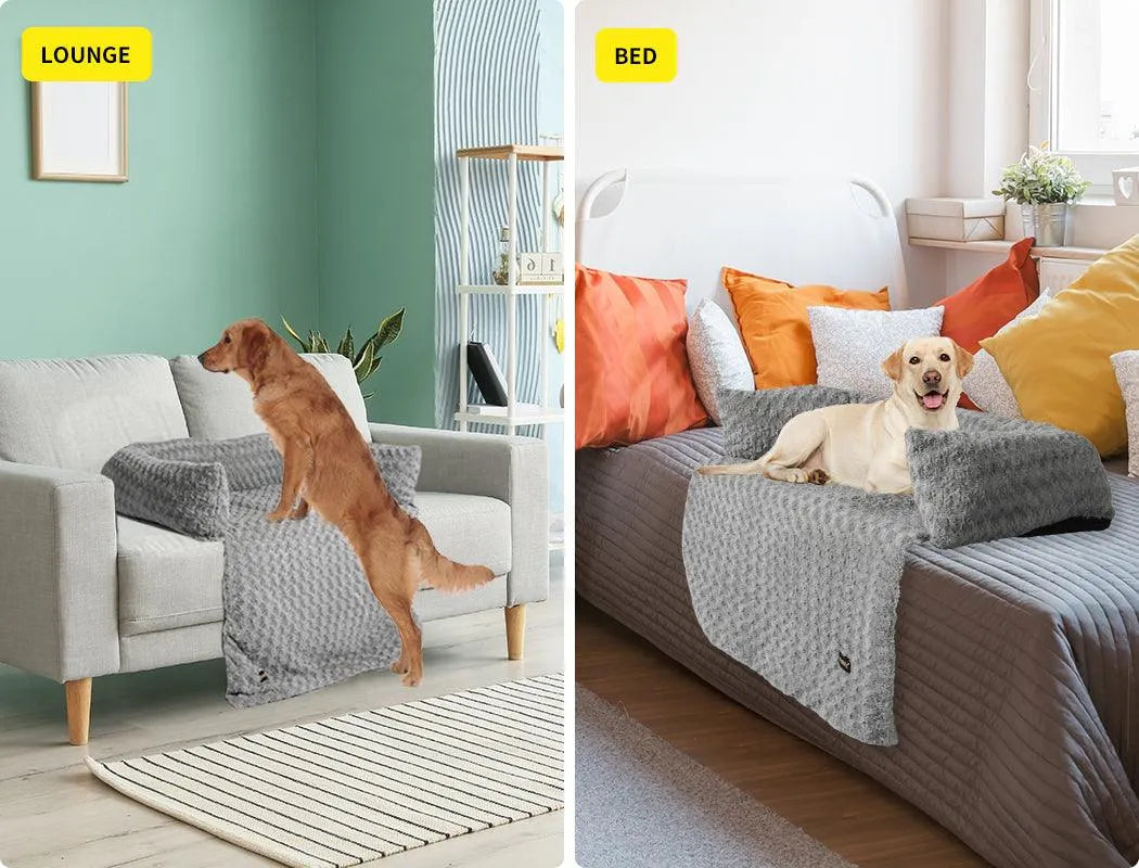 Pet Sofa Cover