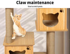 Cat Tree Scratching Post with Cat Face House