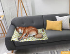 Dog Summer Cooling Mat