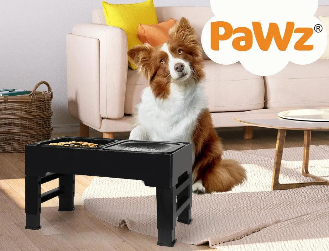 Raised Pet Feeder with No-Spill Slow Feeder Bowl