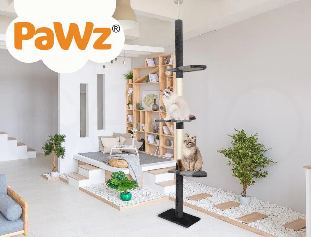 Cat Scratching Post Tree Play