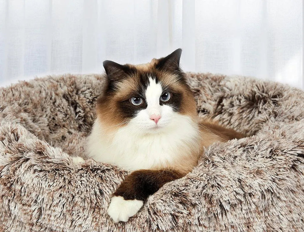 Cover For PaWz Calming Pet Bed