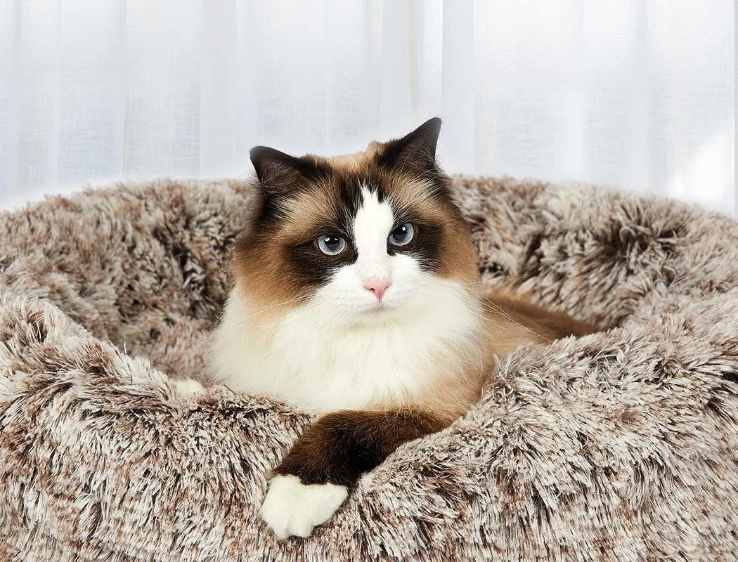 Cover For PaWz Calming Pet Bed