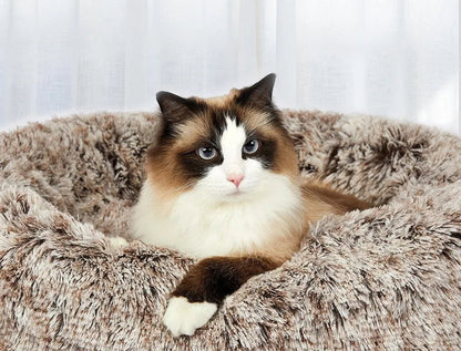 Cover For PaWz Calming Pet Bed