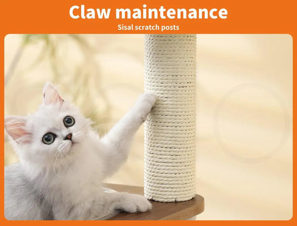 Cat Tree Scratching Post with Wood Condo 138cm