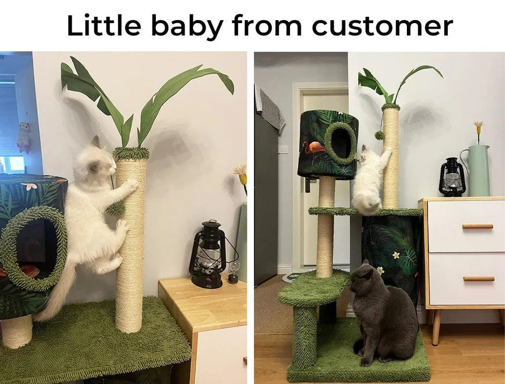 Cat Scratcher Post Cactus Multi Level Playground
