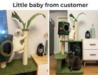 Cat Scratcher Post Cactus Multi Level Playground