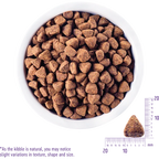 Wellness CORE - Grain Free Senior Dog Food - Turkey & Chicken