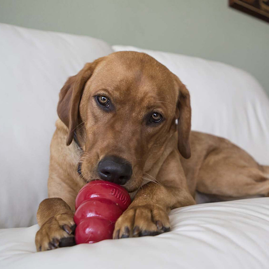 KONG Dog Snacks Peanut Butter
