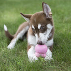 KONG Dog Easy Treat Puppy