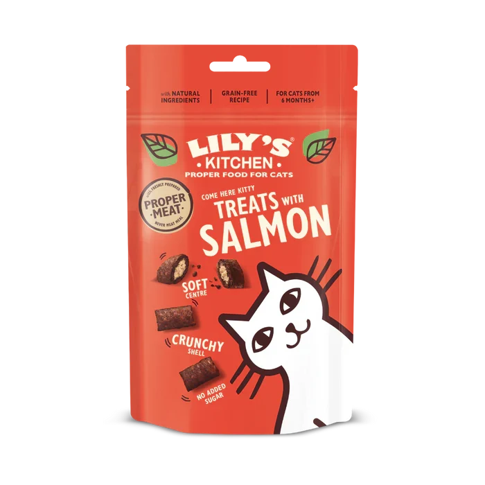 Lily's Kitchen - Salmon Cat Treats 60g