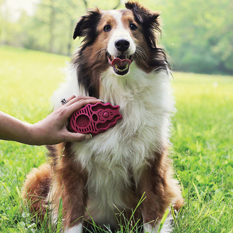 KONG Dog Toys ZoomGroom