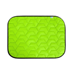 Airy Vest Dog Cushion Light Green & Black Dog Jacket