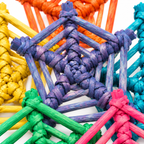 2506 Pk6 Color Vine Web